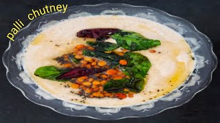 Verusenaga pappu chutney  Pallila chutney in Telugu  Peanut chutney  Gongura Kitchen [upl. by Nyved]