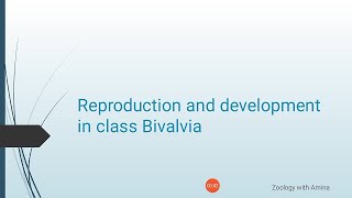 Reproduction and development in class Bivalvia  Phylum mollusca class Bivalvia Reproduction [upl. by Ecirtam]