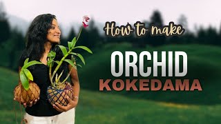 How to make Orchid kokedama 😍❤️🍃 [upl. by Rdnaskela]