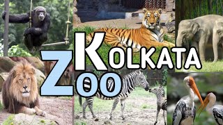 Kolkata Zoo l Alipore Zoo Kolkata l Kolkata Tourist Places  କୋଲକାତା ପ୍ରାଣୀ ଉଦ୍ୟାନ [upl. by Engamrahc]