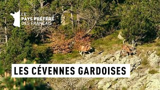 Les Cévennes Gardoises  Cévennes  Les 100 lieux quil faut voir  Documentaire [upl. by Harneen]