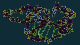 What is Protein Denaturation  Food Science [upl. by Stine]