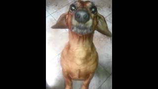 Cachorro manhoso querendo chupeta [upl. by Corette]