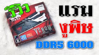 รีวิว แรมงูพิษ VIPER VENOM DDR56000 CL36 32GBKIT รุ่นนี้ OC ได้ดีไหม [upl. by Vincent]