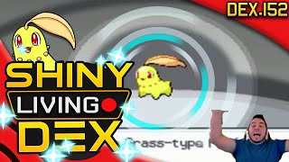 CRAZIEST SHINY CHIKORITA 15000 RESETS Live Reaction Quest For Shiny Living Dex 152  Soul Silver [upl. by Eilloh386]