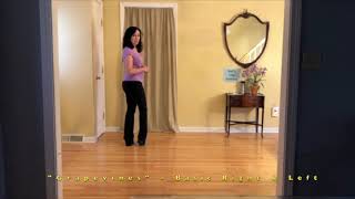 Grapevines Basic Right amp Left – How To Do Grapevines – Line Dance [upl. by Aciretahs]