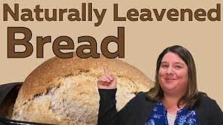 How To Make Naturally Leavened Bread [upl. by Assener]