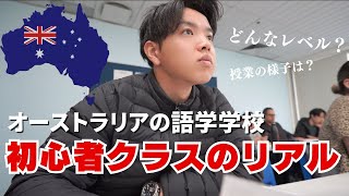 【留学・英語力０】語学学校の初心者クラスの授業ってどんな感じ！？ [upl. by Renato]