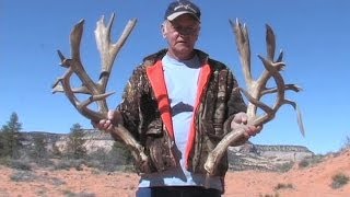 300 Inch Shed Antlers from Northern Arizona [upl. by Rainwater984]