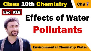 Effects of Water Pollution or Pollutants Class 10 chemistry [upl. by Weksler]