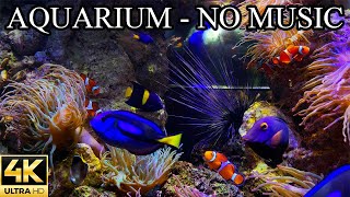 Finding Nemo and Dory Dream AQUARIUM 4K Coral Reef NO Music NO Ads  Aquarium Sounds For Sleeping [upl. by Maitund]