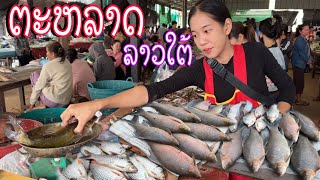 ຕະຫລາດຂາຍປານ້ຳຂອງຢູ່ລາວໃຕ້ตลาดขายปลาน้ำโขงยู่ลาวใต้Lao market in Southern Laos [upl. by Roderic]