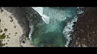 Blanco White  Kauai Oo Official Video [upl. by Mcquillin158]