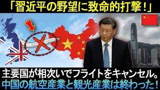 「習近平の野望に致命的打撃！」主要国が相次いでフライトをキャンセル。中国の航空産業と観光産業は終わった！ [upl. by Omiseno680]