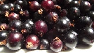 How to Make Blackcurrant Jam [upl. by Tedman]