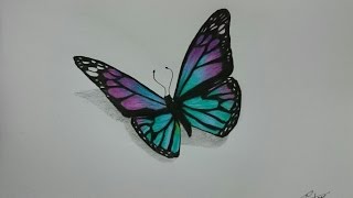 How to Draw a Realistic Butterfly with Colored Pencils [upl. by Aseram209]