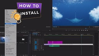 The Best Transitions For Premiere Pro You Should Use [upl. by Lamrej265]