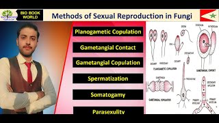 Methods of Sexual Reproduction in Fungi  Planogametic Copulation  Gametangial Contact  Hindi [upl. by Ellard]