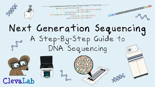 Next Generation Sequencing  A StepByStep Guide to DNA Sequencing [upl. by Goldfarb]