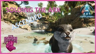 Taming Shoulder Pets Soloing ARK Ascended Ep 20 [upl. by Eimile]