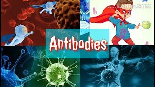 Antibodies  Tamil  Antibody animation  MR Tamil science [upl. by Laenahtan]