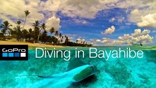 Bayahibe Diving  Catalonia  Dominican Republic [upl. by Avraham247]