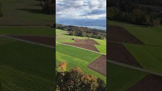 🍂Herbst Schweiz 🇨🇭🍁🍂 music song lyrics dji schweiz outono2024 swiss travel [upl. by Broder]