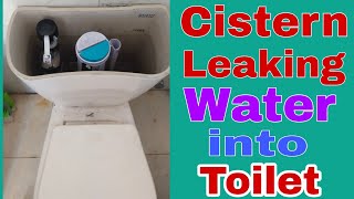 Cistern leaking water Into Toilet [upl. by Croteau540]