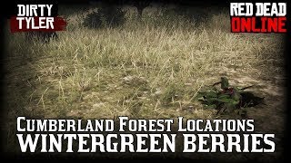 Wintergreen berry locations wintergreen berries RDR2 Red Dead Online Daily Challenges [upl. by Layod]