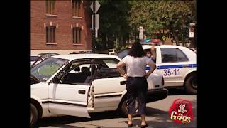 Best Police Pranks Vol 2  Best of Just For Laughs Gags [upl. by Liederman]