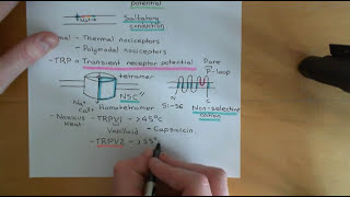 Pain and Analgesic Drugs Part 3 [upl. by Eniruam]