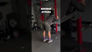 Lever Arms Back Workout Infinity Jammer Arms for Power Rack by Curls In The Rack [upl. by Arrio519]