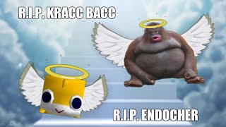 RIP Kracc Bacc Endocher 😭💔 [upl. by Gorden]