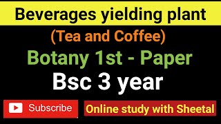 beverage yielding plants   coffee and tea  botany 1  bsc 3 year [upl. by Peria]