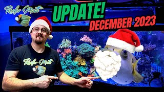 December 2023 Reef Tank Updates [upl. by Latty]