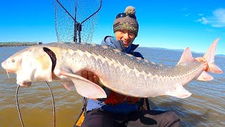 EPIC Battle with a BIG STURGEON on my Kayak [upl. by Jola]