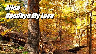 Hiking with Ailee 에일리  Goodbye My Love 잠시 안녕처럼  English Lyrics  Autume Vibe [upl. by Matejka]