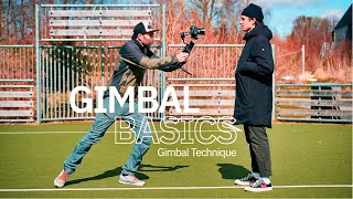 5 Basic Gimbal Tips For Beginners  Master Basics Gimbal Techniques  Improve Your Gimbal Shots [upl. by Hobbs890]