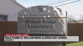 Principal of Willow Ridge elementary says school on track to open despite suspected mold [upl. by Amoeji]