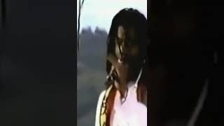 Coming In Hot  Peter Tosh Jamaica World Music Festival 🇯🇲 🎶 🇯🇲 🎶 🇯🇲 shorts wailers tosh [upl. by Reena]