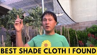 Best Shade Cloth to Reduce Temperature of Plants for Your Vegetable Garden [upl. by Annoya4]