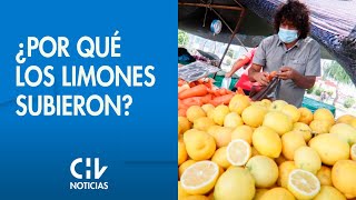 FUERTE ALZA  ¿Pór qué están más caros los limones  CHV Noticias [upl. by Sivad]