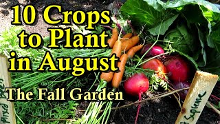 10 Crops to Direct Seed in AugustJuly for a Fall Garden Root Crops amp Brassicas Part 1 of 2 [upl. by Tuorah]