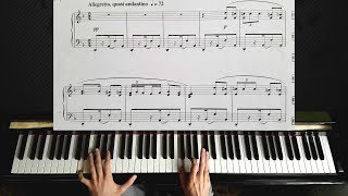 Habanera from quotCarmenquot by Bizet  Piano Tutorial [upl. by Michiko]