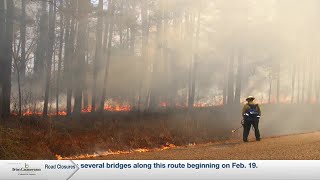 Prescribed Burning in Kisatchie [upl. by Clorinda]