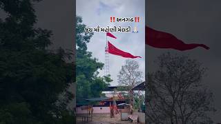 Masani Maa DarshanTodayMasani Meldi Statsu Angadh Masani Mata Mandir અનગઢ મહોણી માં દર્શનshort [upl. by Anitsua]