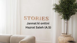 Jannat ki oontni Part 1  Hazrat Saleh AS  Maha Amer [upl. by Ecire]