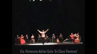 Compañía de Flamencos Adrián Galia  Shimin Kaikan Nagoya Japon [upl. by Harv]