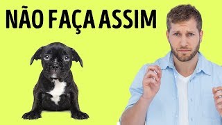 12 Coisas que Seu Cão Odeia em Você [upl. by Oiracam]