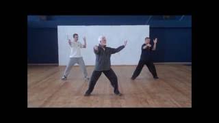 Wudang Tai Chi Chuan Cheng Tin HungDan Docherty short form  טאי צי [upl. by Minica]